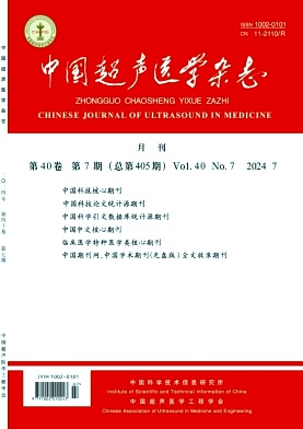 中国超声医学杂志封面